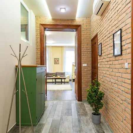 Vibrant And Spacious Downtown Flat