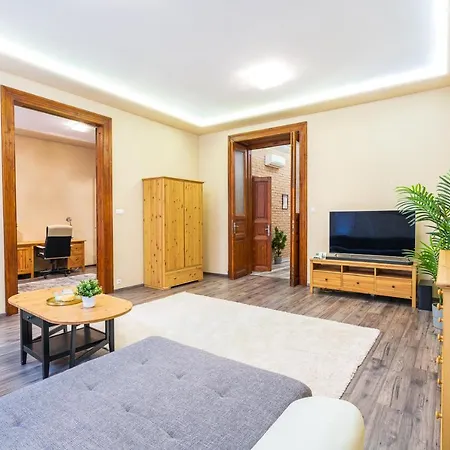 Apartment Vibrant And Spacious Downtown Flat