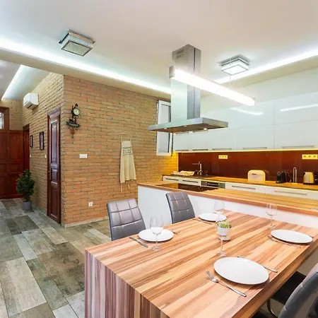 Apartment Vibrant And Spacious Downtown Flat